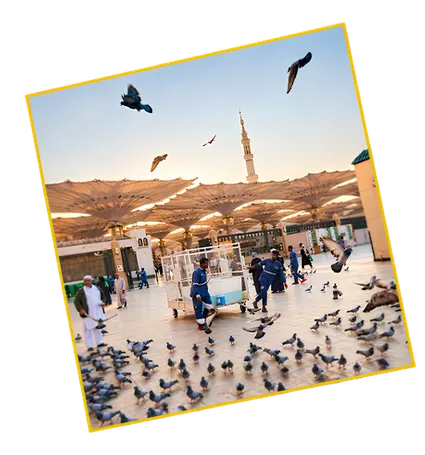 Zarrar Holidays